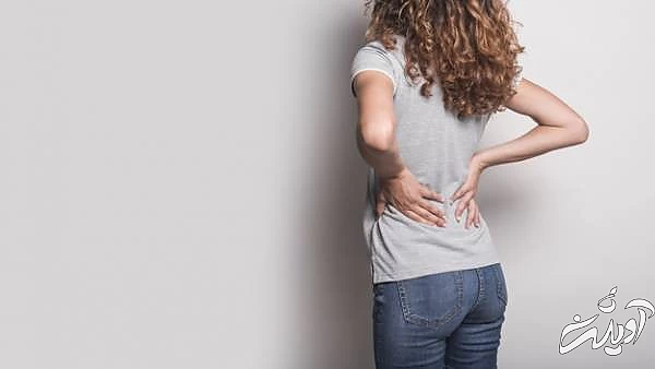 نیش زنبور چیست